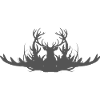 Antler silhouette of the deer