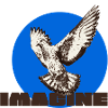 Dove of Peace