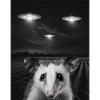 Śmieszne selfie oposa przed UFO Opossum UFO