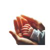 Mom and Child Hands