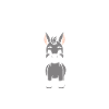 Humour petit âne