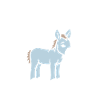 Humour petit âne