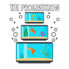 Aquarium L’aquarium aquariophile Progression