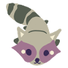 Raccoon