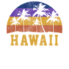 Hawaii Aloha Hawaiian Souvenir