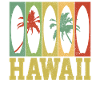 Hawaii Aloha Surfer Souvenir