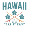 Hawaii Aloha Surfer Souvenir