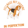 Dog Beagle
