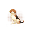 Chien Beagle