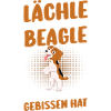 Dog Beagle