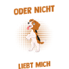 Dog Beagle