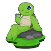 Turtle Coffee Mug