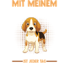 Dog Beagle