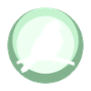 Parakeet Animal Bird Illustration