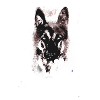 German Shepherd,Dog,Black Shepherd