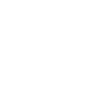 Year of the Dragon 2024