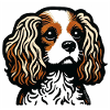 King Charles Spaniel - Blenheim