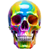 Skull coloured