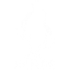 White Birds