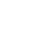 Profession de pilote professionnel