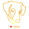 I Love Toller