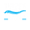 Chiropractor Chiropractic