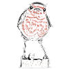 Rouge gorge