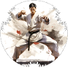 Karate, Kampfkunst mit chinesischen Einflüssen