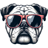 English Bulldog Wearing Sunglasses
