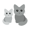 Feline