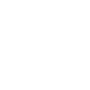 Cheval équitation