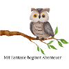 Owl Motif