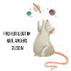 Souris de l’espace