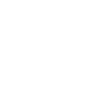 Cheval poney course