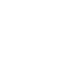 Cheval poney