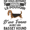 Chien de race basset hound