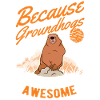 Marmot Groundhog Day Woodchuck