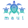 Maui Hawaiian Hawaiian Souvenir