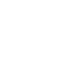 Année du Dragon 2024