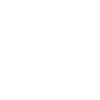 Année du Dragon 2024