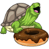 Turtle Donut
