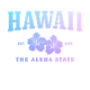 Hawaii Aloha Hawaiian Souvenir