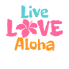 Hawaii Aloha Hawaiian Souvenir