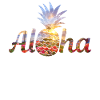 Hawaii Aloha Hawaiian Souvenir