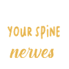Chiropractor Chiropractic