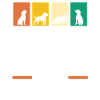 Dog Beagle