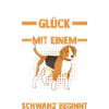 Dog Beagle