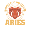 Aries Time Clock