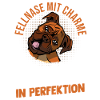 Dog German Boxer