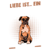 Dog German Boxer